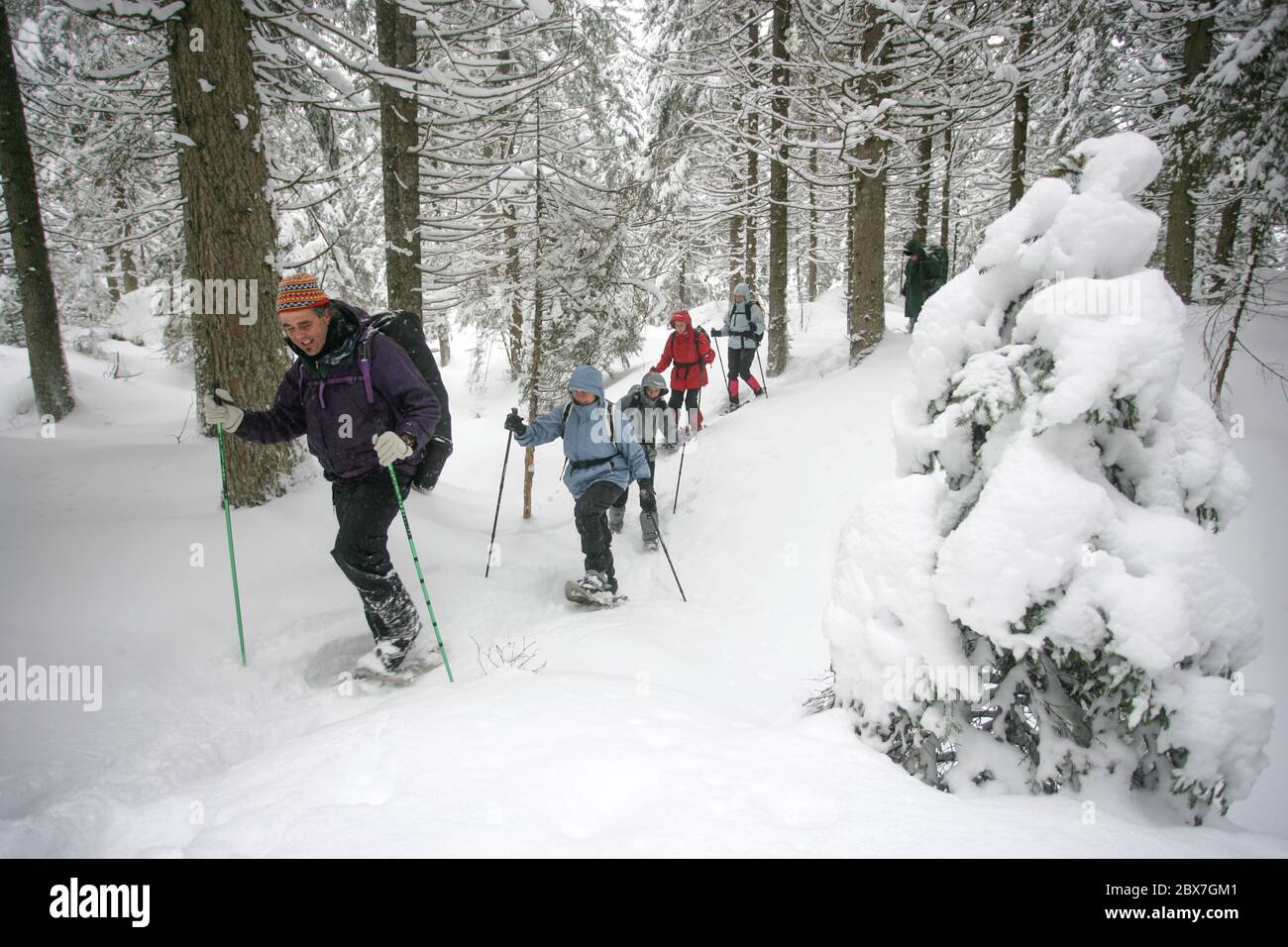 SNOWSHOE HIKE IN BAVARIA Stock Photo