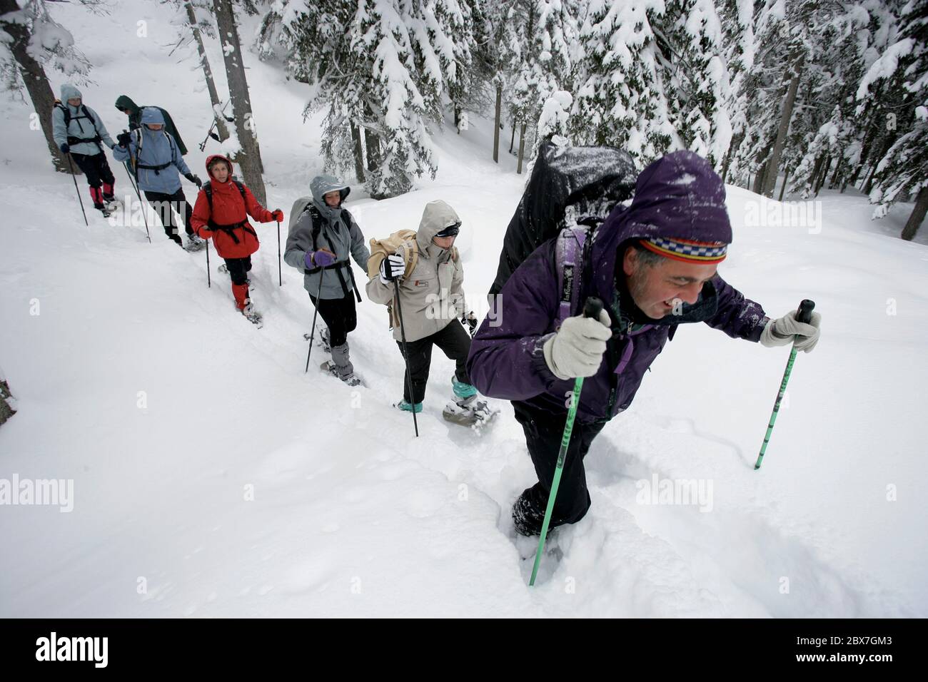 SNOWSHOE HIKE IN BAVARIA Stock Photo