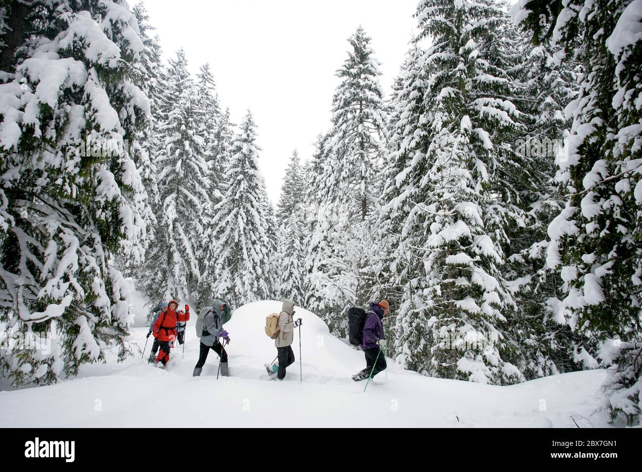 SNOWSHOE HIKE IN BAVARIA Stock Photo