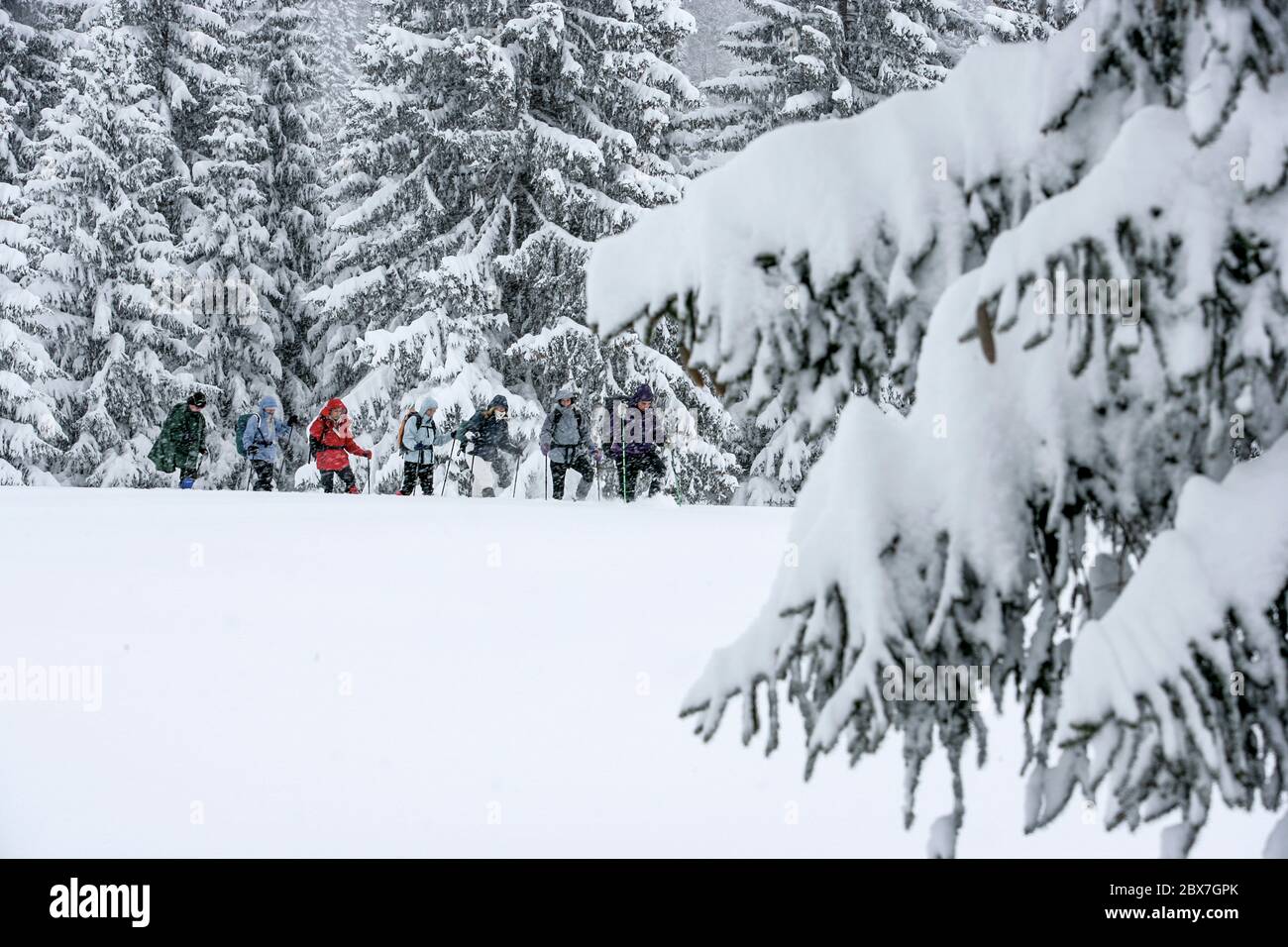 SNOWSHOE HIKE IN BAVARIA Stock Photo