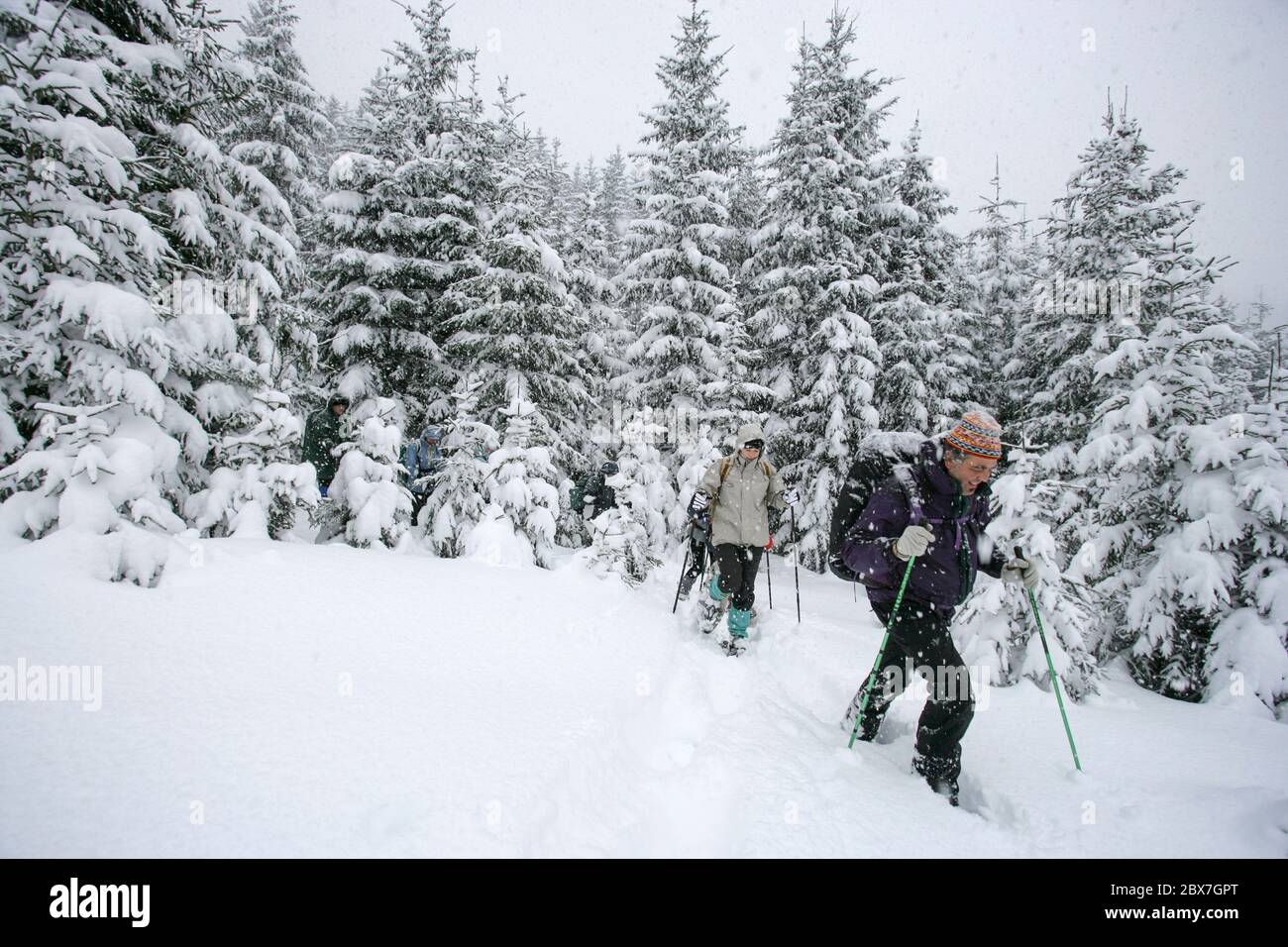 SNOWSHOE HIKE IN BAVARIA Stock Photo