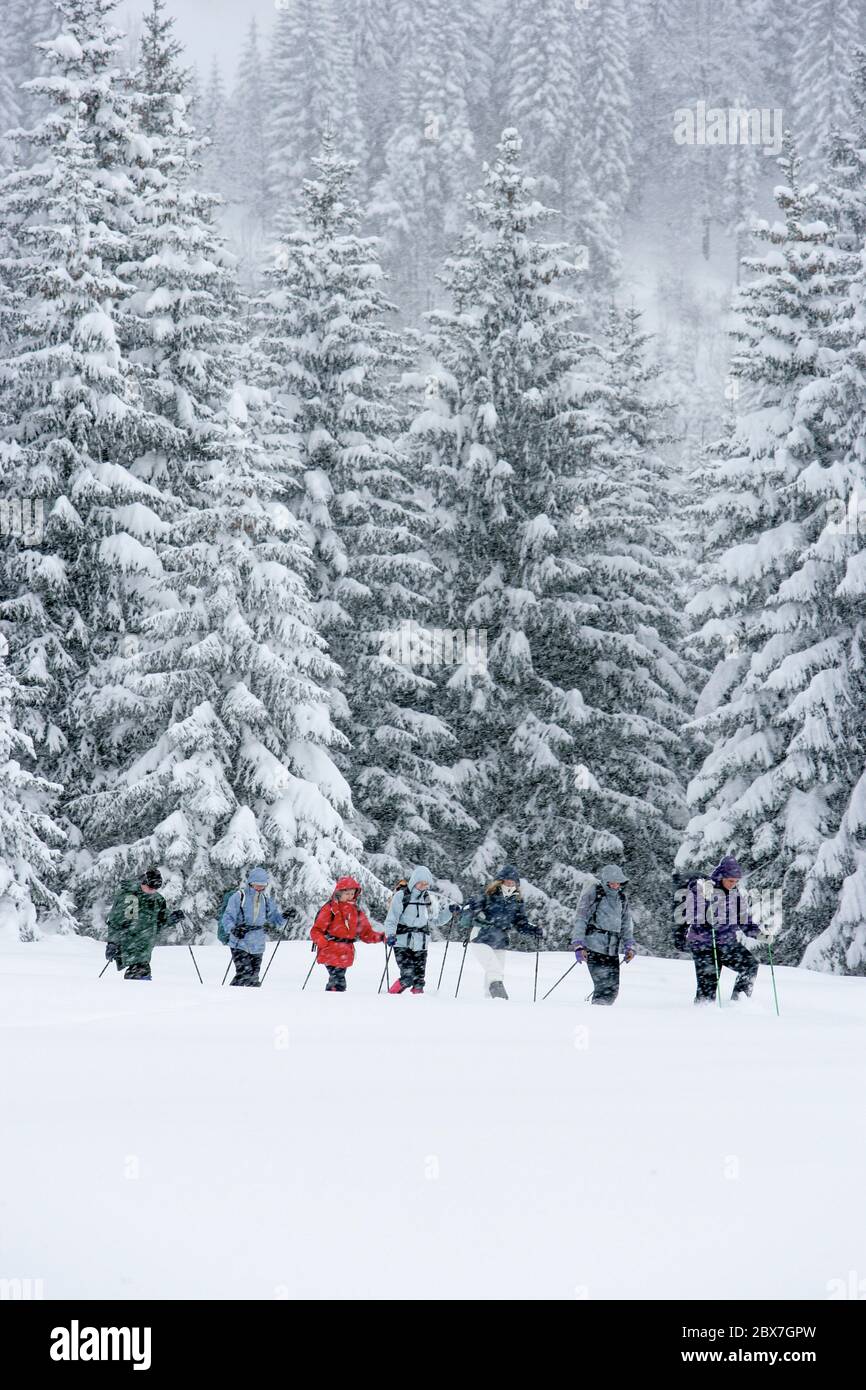 SNOWSHOE HIKE IN BAVARIA Stock Photo
