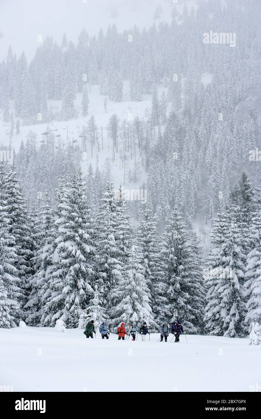 SNOWSHOE HIKE IN BAVARIA Stock Photo