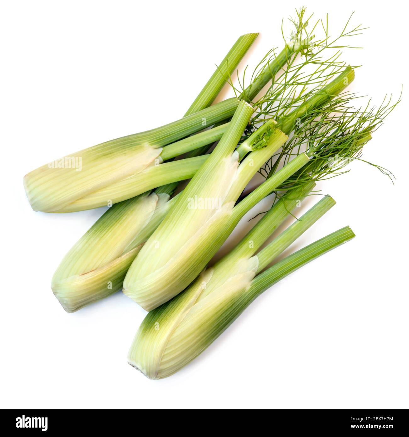 Baby fennel bulbs. Top view, isolated on white Stock Photo Alamy