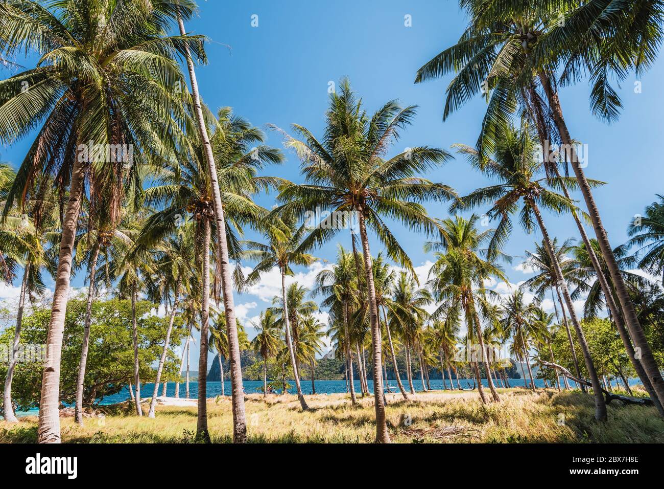 Ipil beach with coconut palm trees, sandy beach and blue ocean in