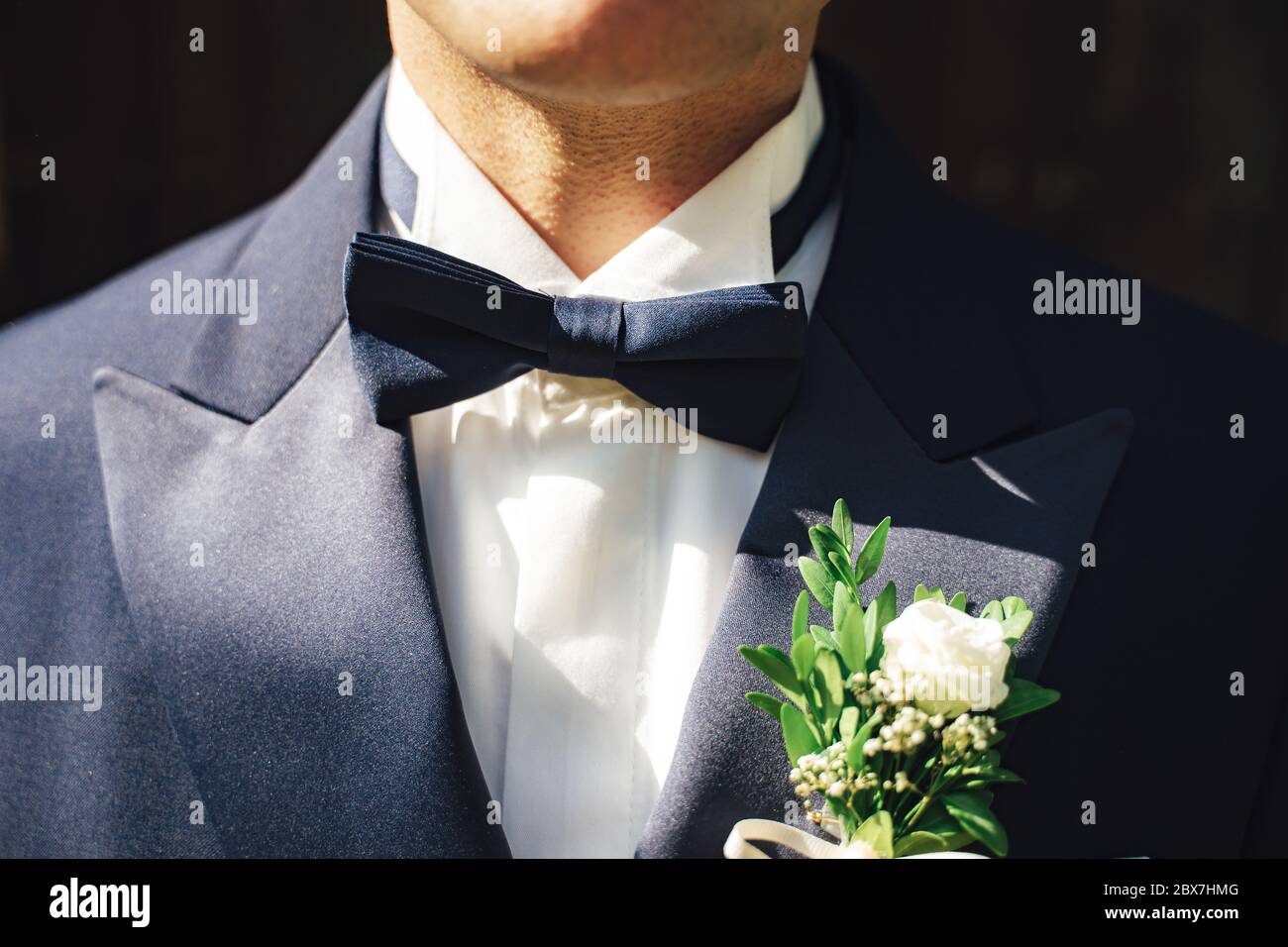 Close up shot of man in white shirt and blue suit with blue bow tie and flower wedding boutonniere. Dark background. Stock Photo