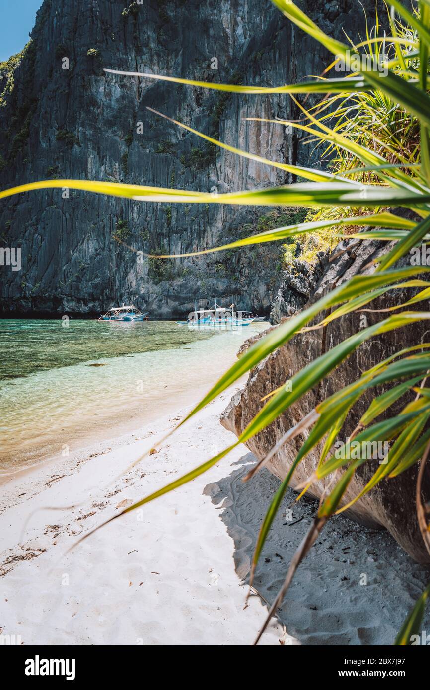 El Nido, Palawan, Philippines. Tropical sandy beach with exotic foliage plants surrounds by karst limestone rocky mountains Stock Photo
