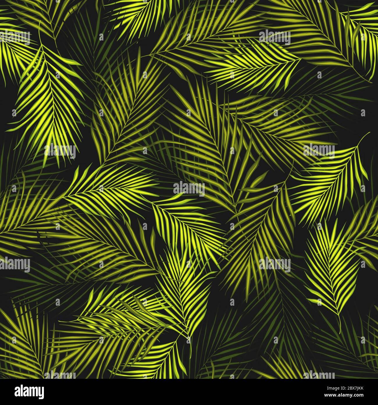 Abstract Exotic Plant Seamless Pattern On Black Background Tropical Palm Leaves Pattern Vector Botanical Background Fern Leaf Wallpaper For Book C Stock Vector Image Art Alamy Abstract Exotic Plant Seamless Pattern On Black Background Tropical Palm Leaves Pattern Vector Botanical Background Fern Leaf Wallpaper For Book C Stock Vector Image Art Alamy