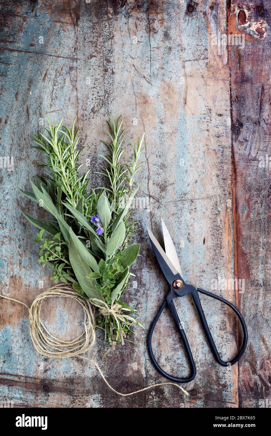 Bouquet garni of fresh herbs with twine and scissors. Top view over