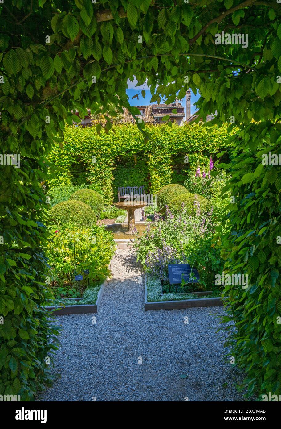 France, Yvoire, Le Jardin des Cinq Sens, (Garden of the Five Senses) The Cloister Stock Photo