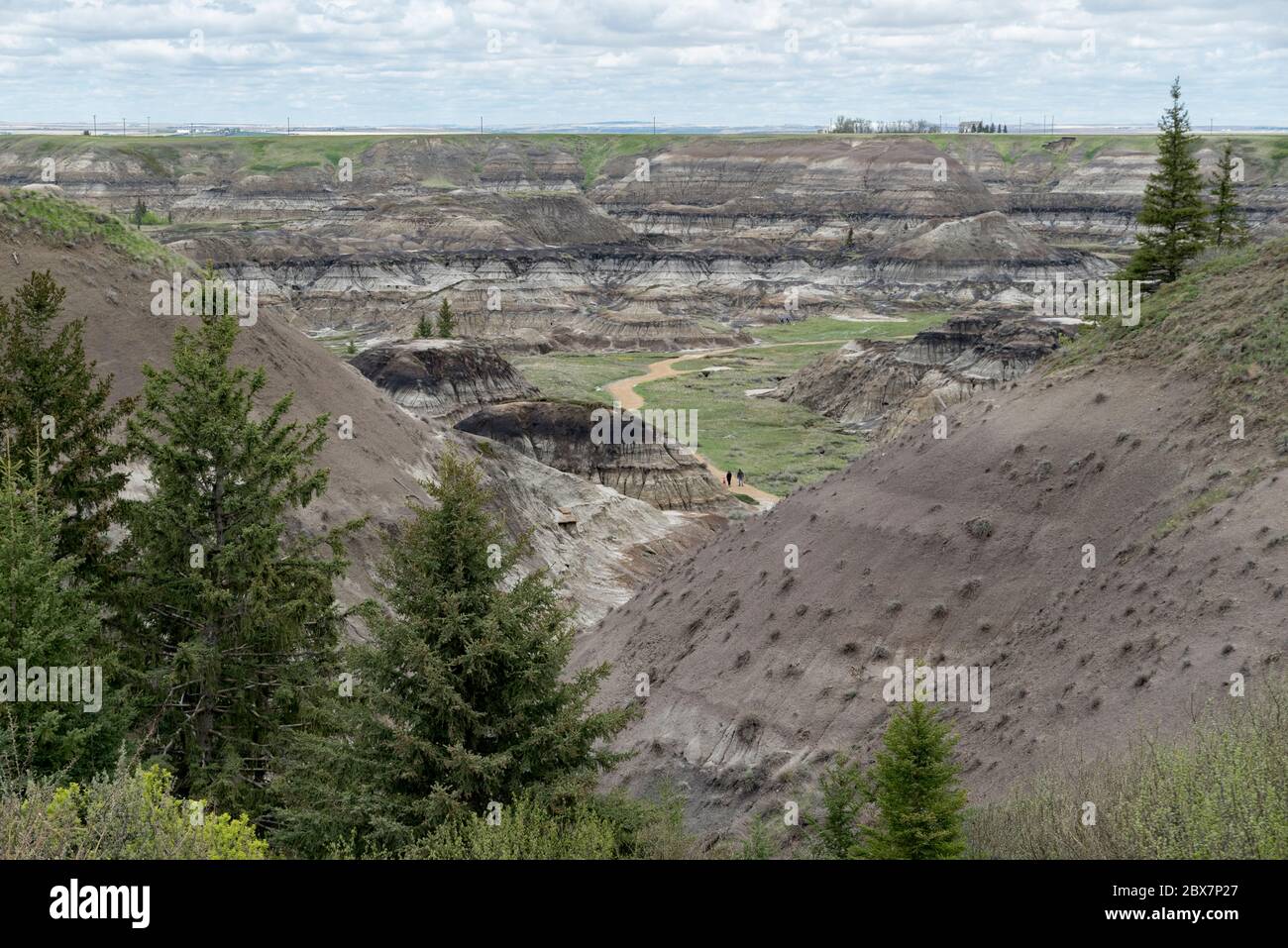 Horseshoe Canyon, Alberta, Canada. People walking a trail in the