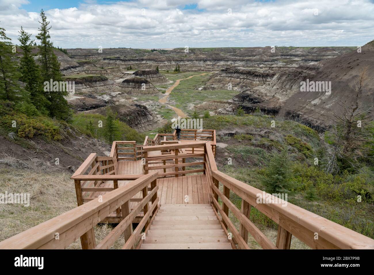Horseshoe Canyon, Alberta, Canada. A woman standing on wooden lookout