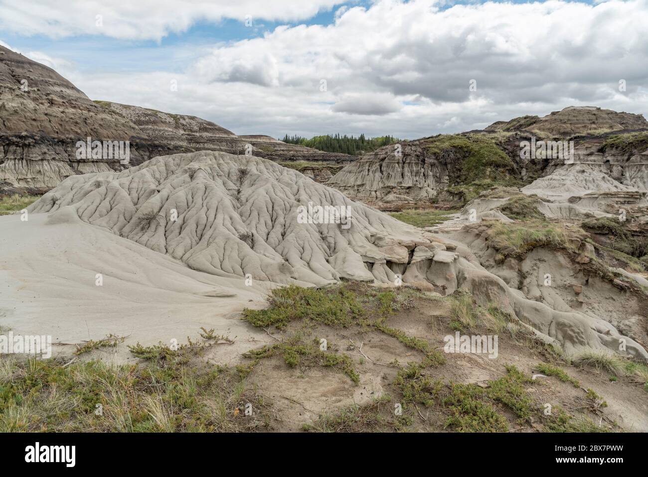 Landforms of the Badlands in Horseshoe Canyon, Alberta, Canada Stock