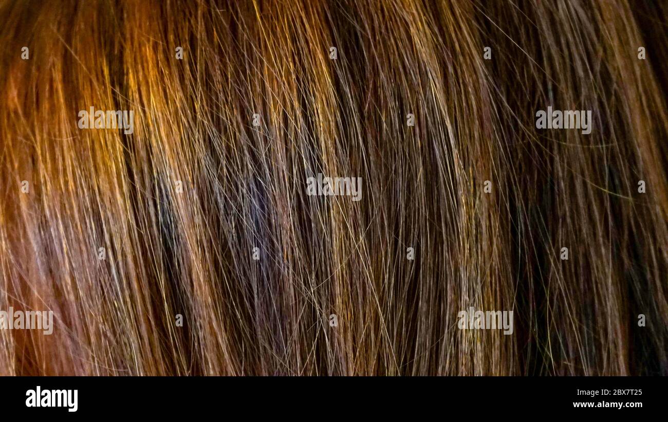 Beautiful shiny brunette hair hi-res stock photography and images - Alamy