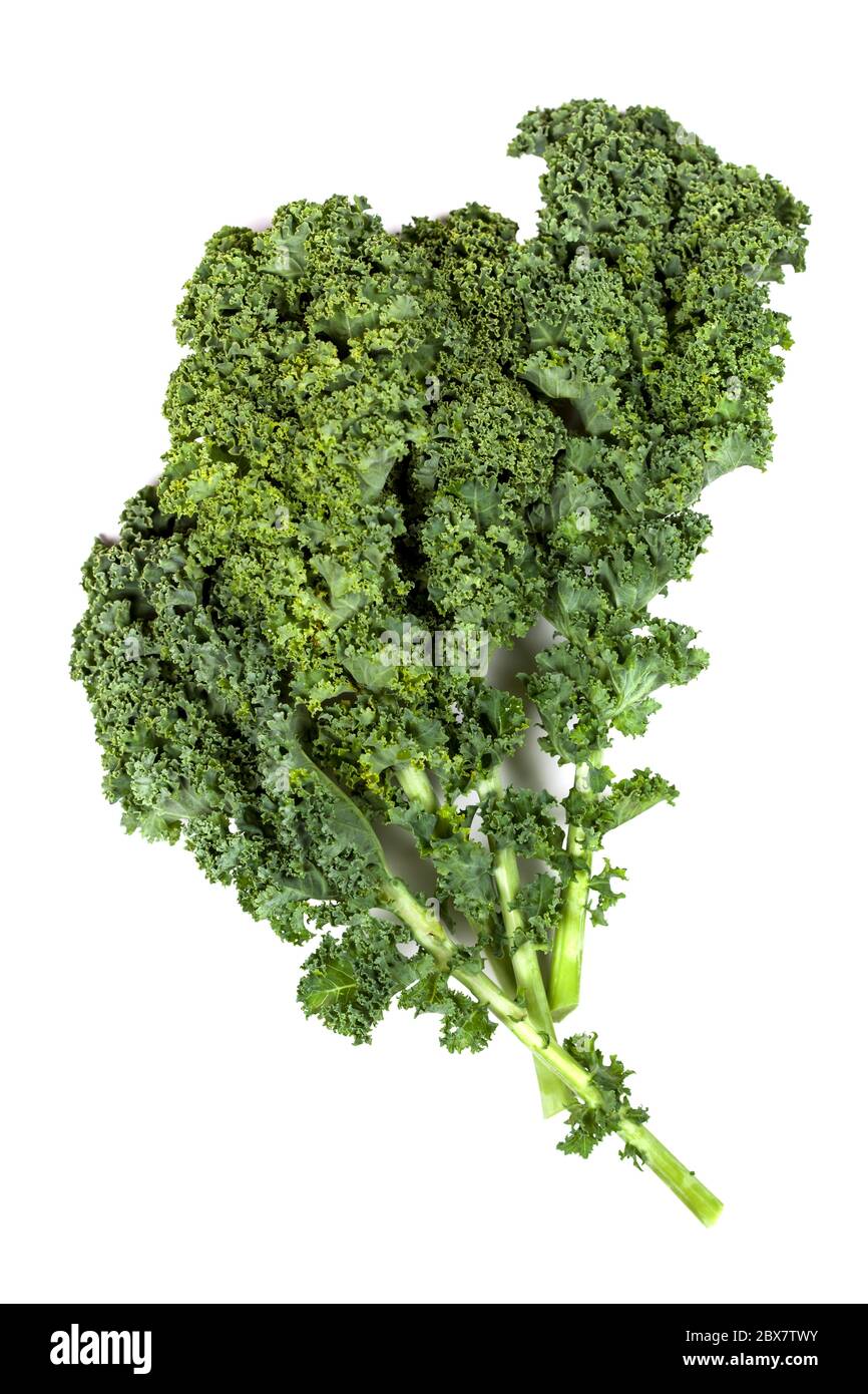 Kale leaves isolated on white background Stock Photo Alamy