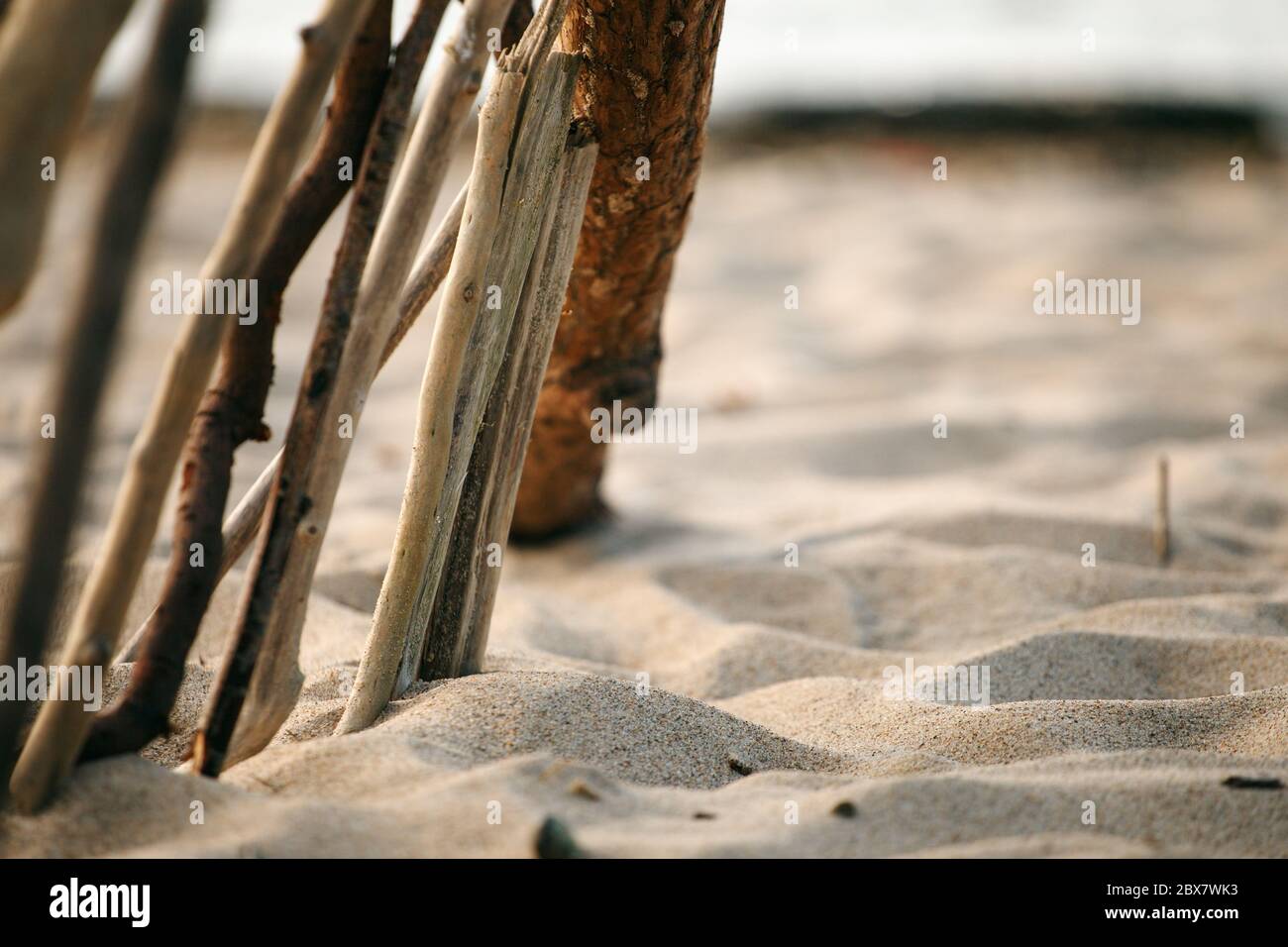 Ocean landscape with minimalism design of wooden sticks, summer, abstract meditation calming zen-like concept Stock Photo