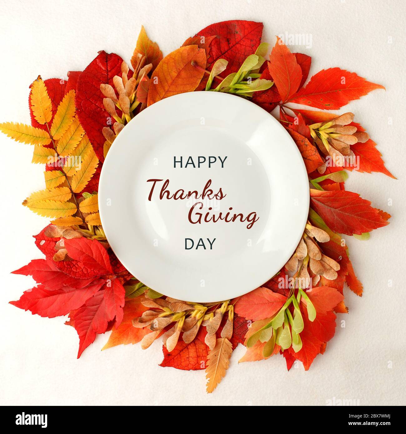 HAPPY THANKSGIVING DAY Autumn composition background. Bright leaves. Flatlay background, Thanksgiving table, empty plate, seasonal concept menu of caf Stock Photo