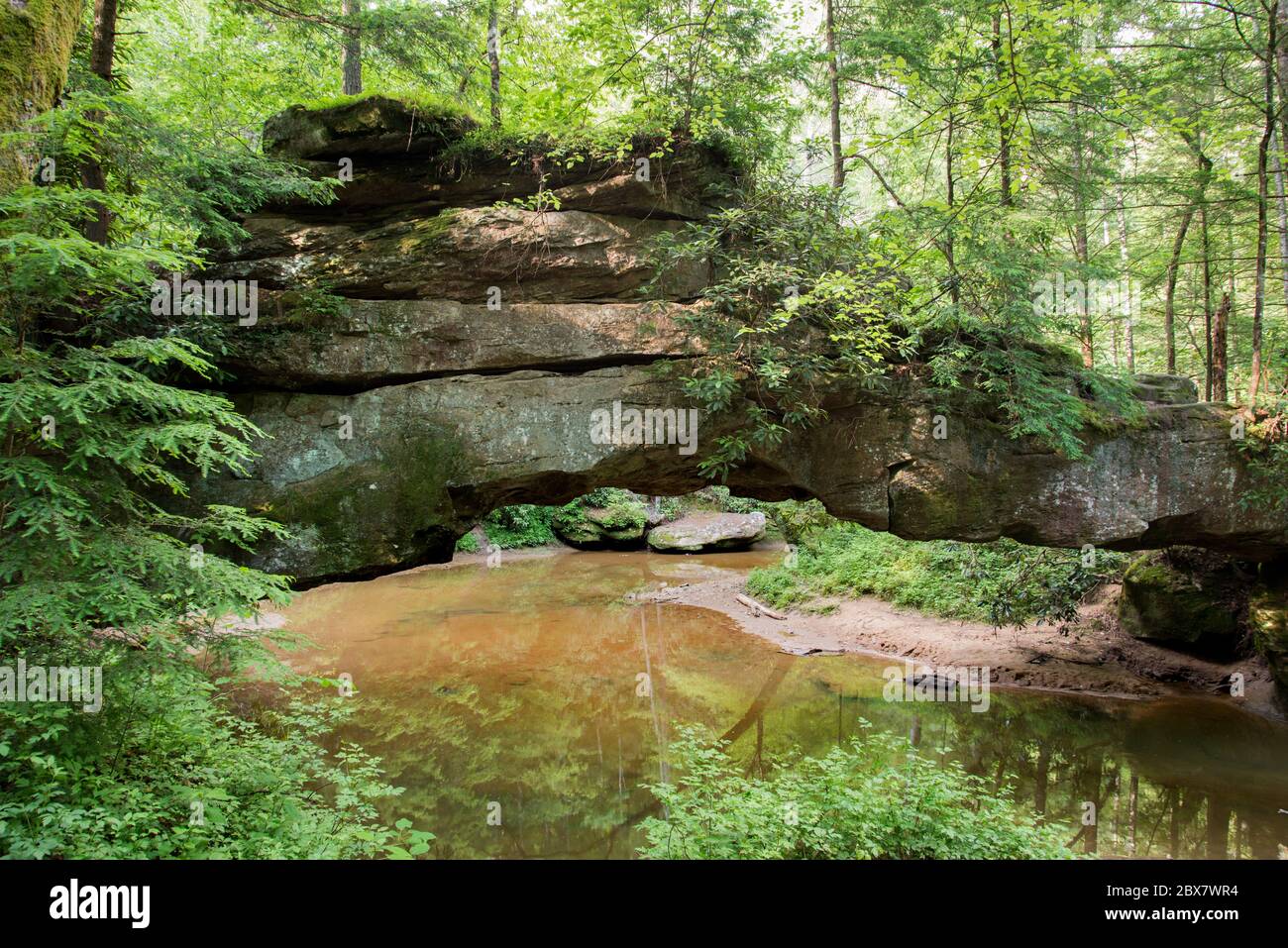 Rock Bridge arch spans a creek in Red River Gorge State Park in Kentucky. Stock Photo