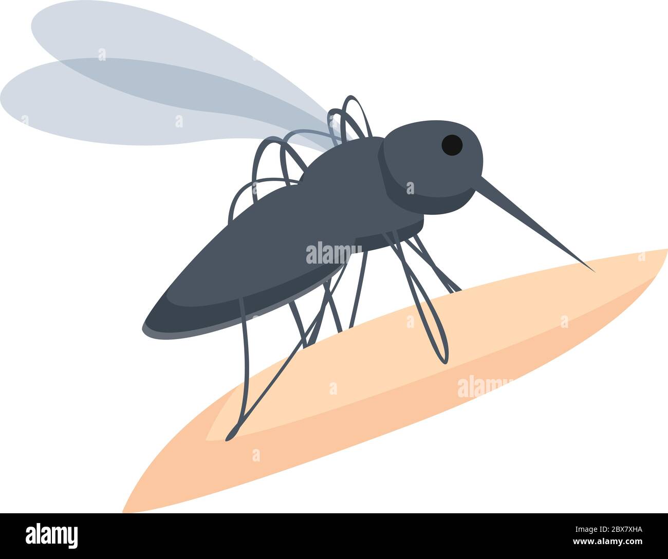 Mosquito on skin icon. Cartoon of mosquito on skin vector icon for web ...