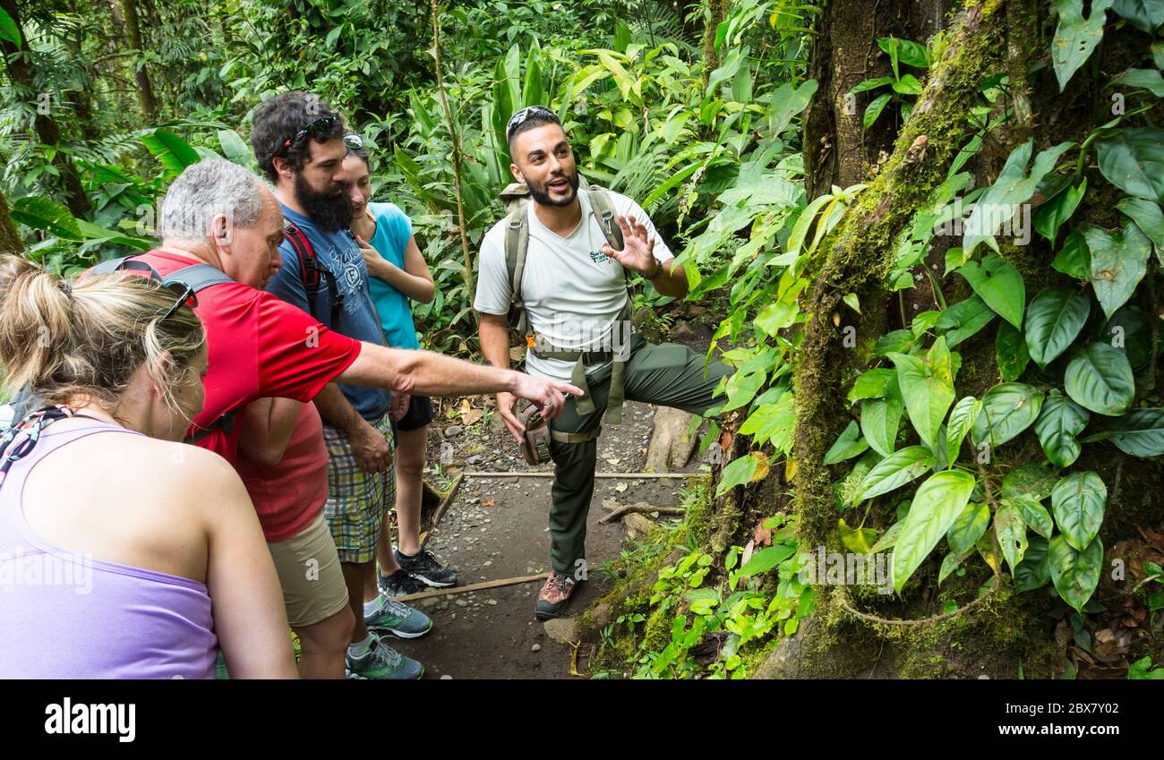 Alan, tour guide with Swiss Travel communicates with hikers in Sensoria, tropical rainforest reserve, Rincon de la Vieja, Provincia de Alajuela, Costa Stock Photo