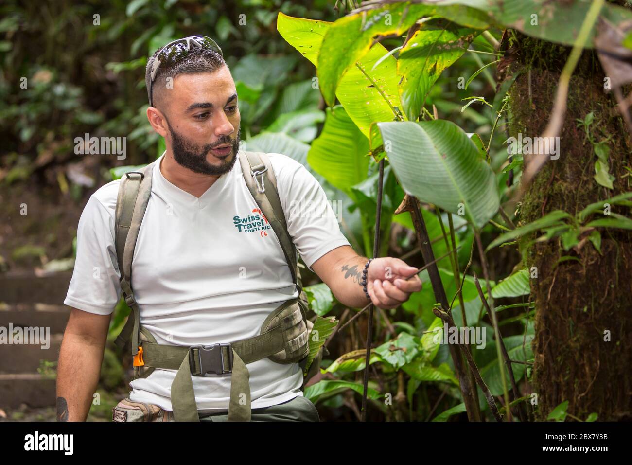 Alan, tour guide with Swiss Travel communicates with hikers in Sensoria, tropical rainforest reserve, Rincon de la Vieja, Provincia de Alajuela, Costa Stock Photo