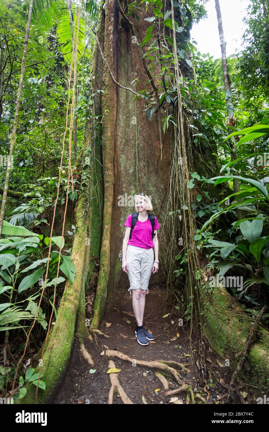 female tourist standing beside rainforest tree with vines competing for light, Sensoria, tropical rainforest reserve, Rincon de la Vieja, Provincia de Stock Photo