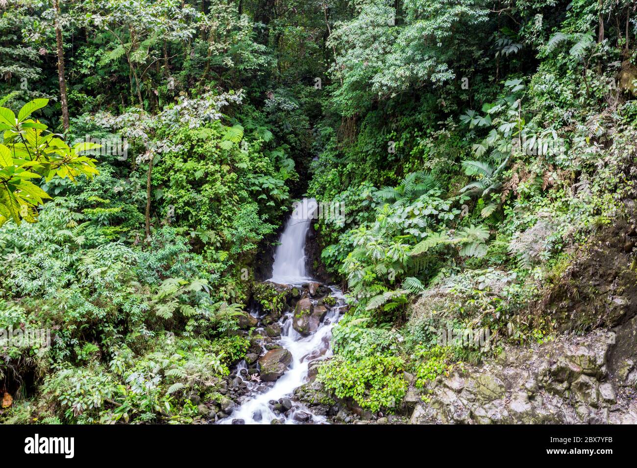 waterfall, Sensoria, tropical rainforest reserve, Rincon de la Vieja, Provincia de Alajuela, Costa Rica Stock Photo