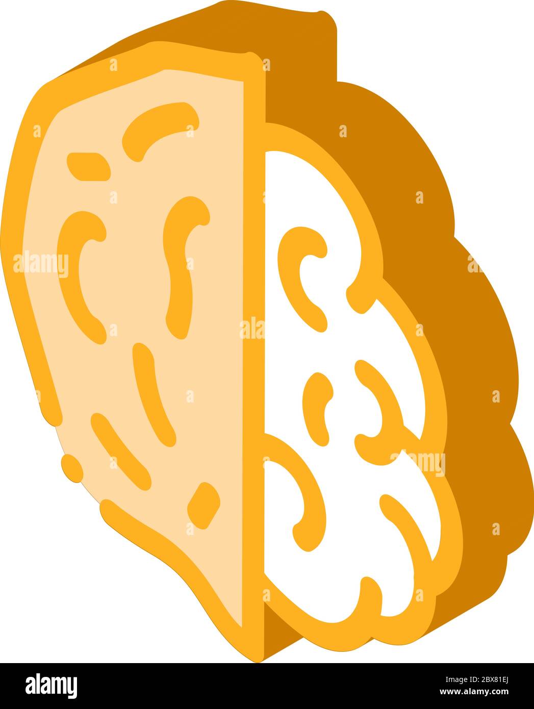 Walnut Nut isometric icon vector illustration Stock Vector
