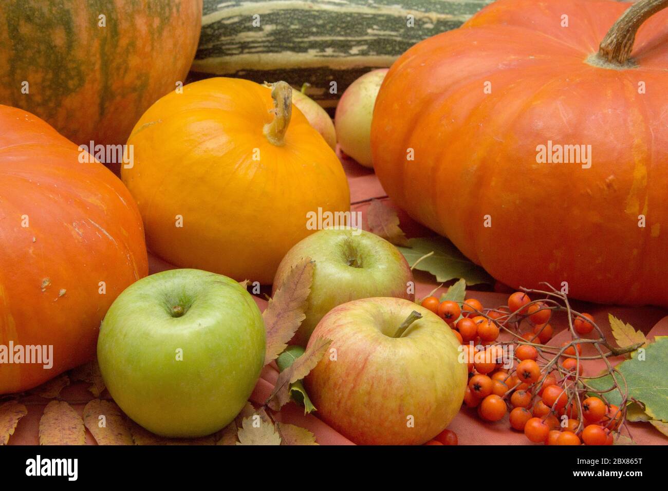 Autumn still life with pumpkins, apples and rowan Stock Photo - Alamy