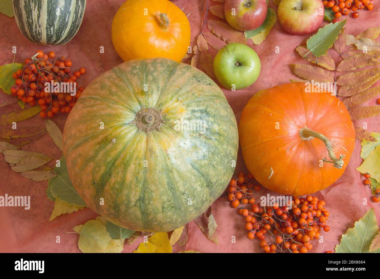 Autumn still life with pumpkins, apples and rowan Stock Photo - Alamy