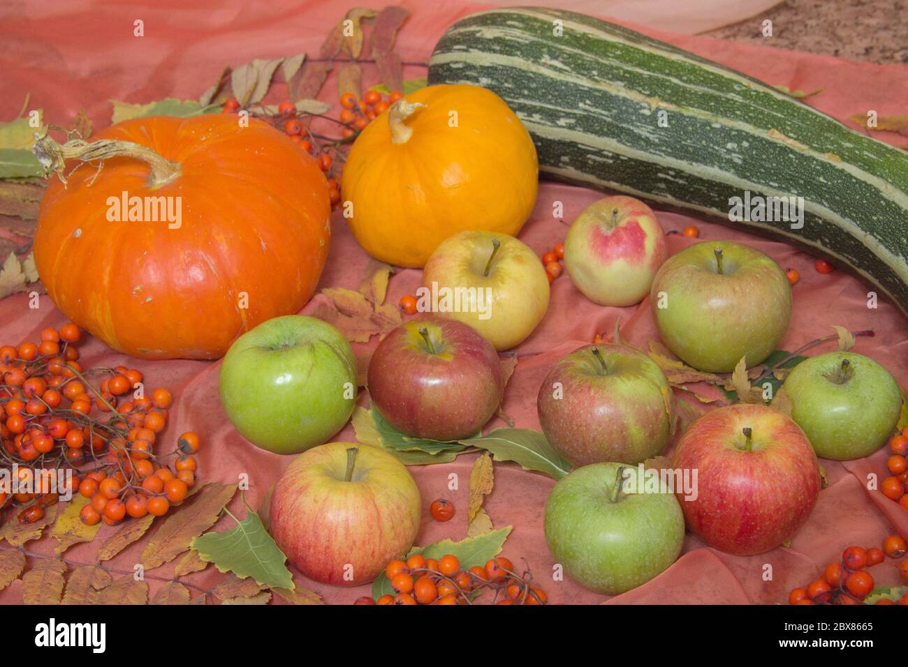 Autumn still life with pumpkins, apples and rowan Stock Photo - Alamy