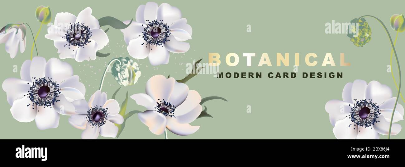 Fresh flower bloom perfume best sale