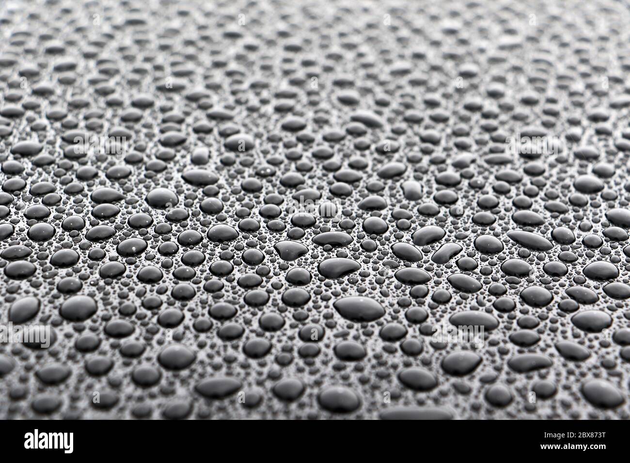 Close up of thousands of beaded water droplets on auto vehicle Stock Photo