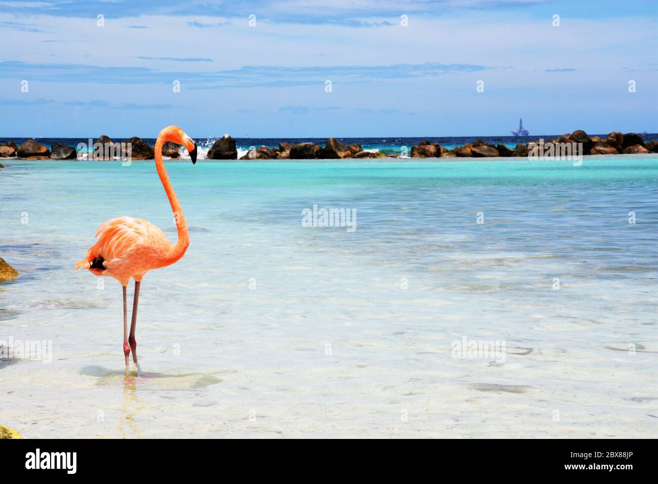Flamingo Beach Aruba Stock Photo - Alamy