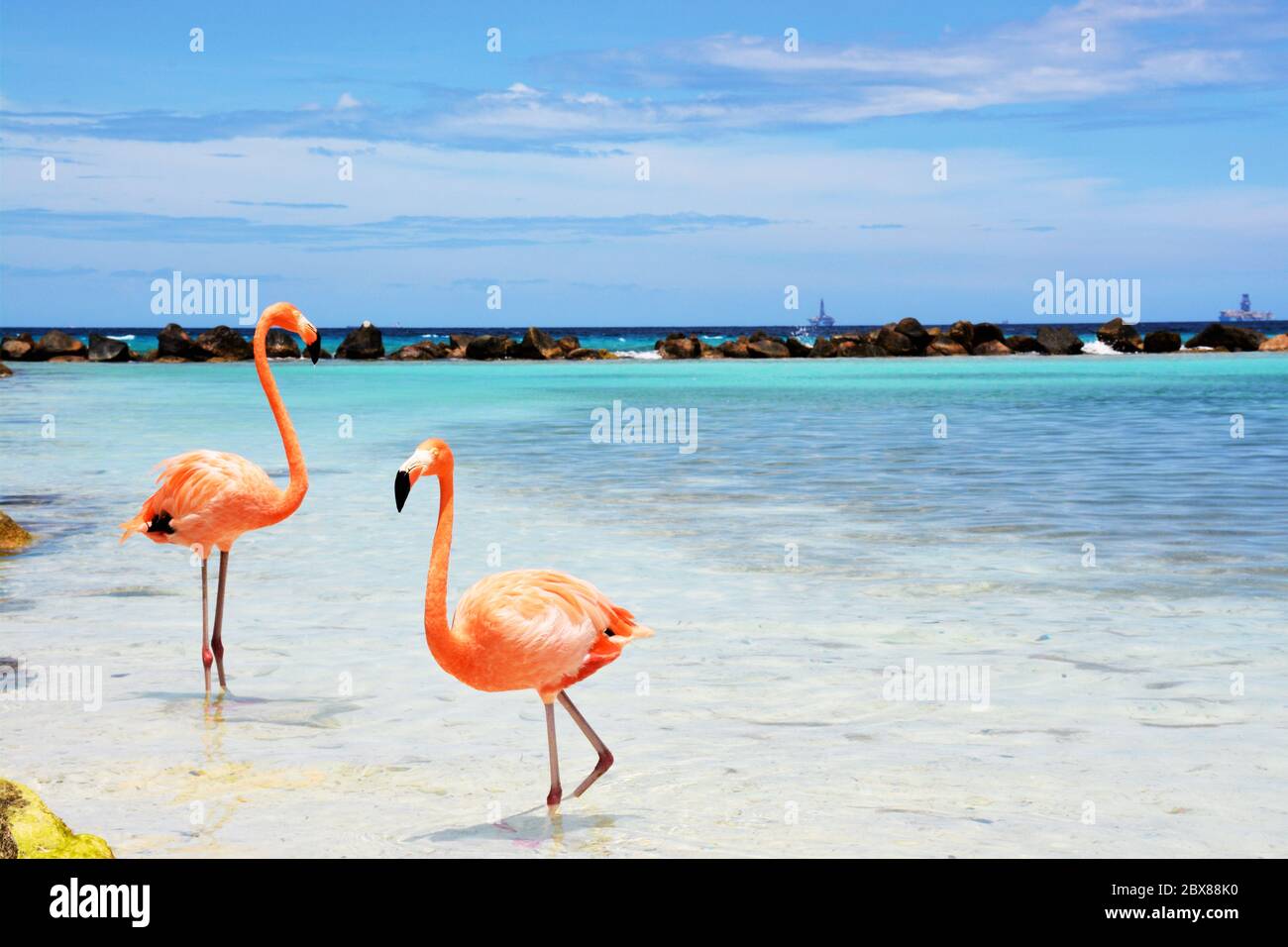 Flamingo Beach Aruba Stock Photo - Alamy
