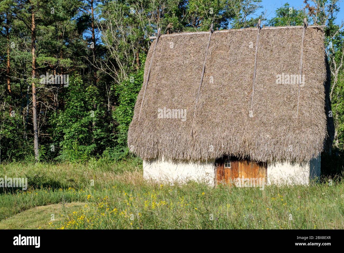 Lambgift as traditional thatched sheiling or hut for sheep on Baltic sea island Gotland in Sweden Stock Photo