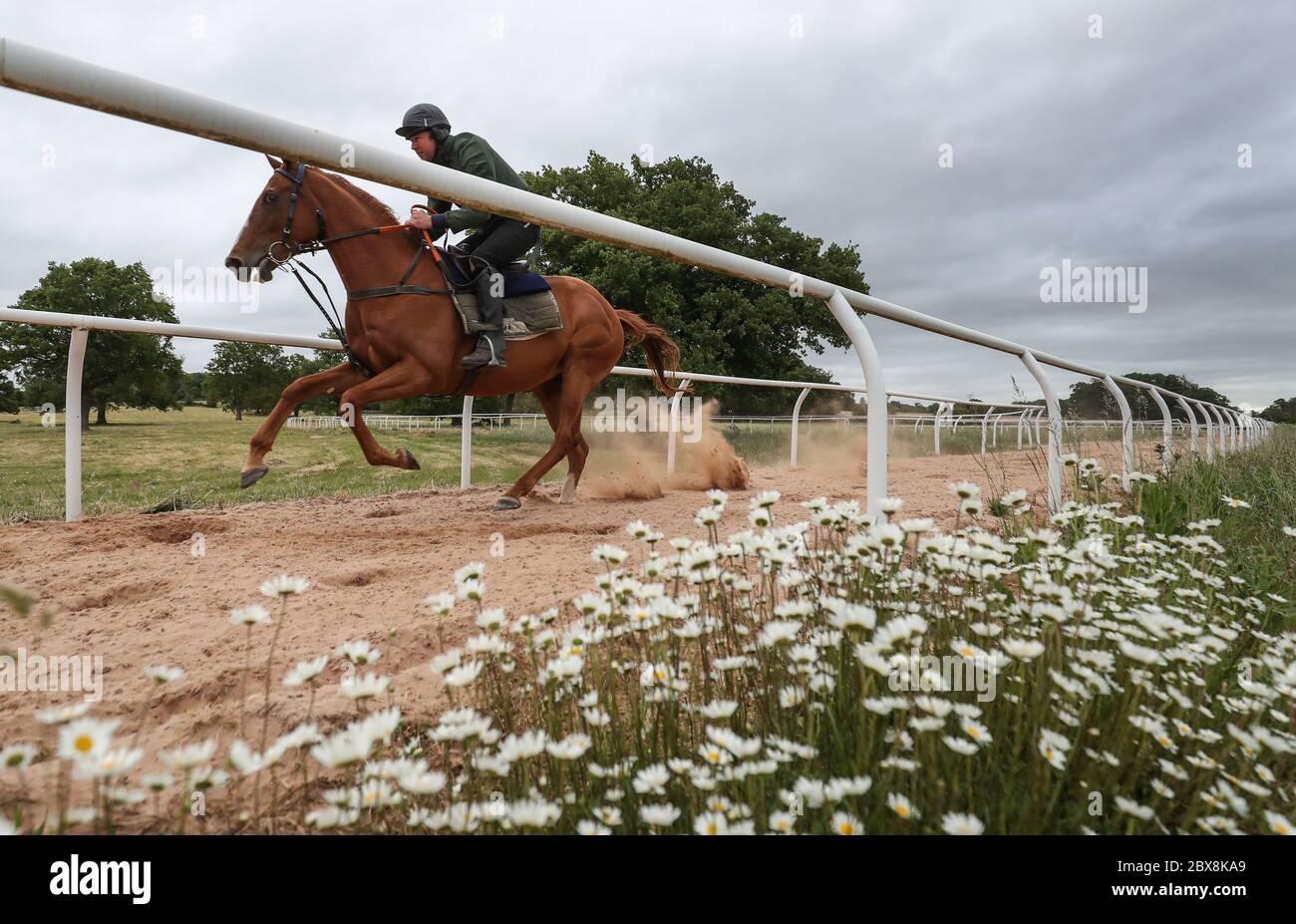 Sam Drinkwater exercises one of his horses on his Granery Farm gallops