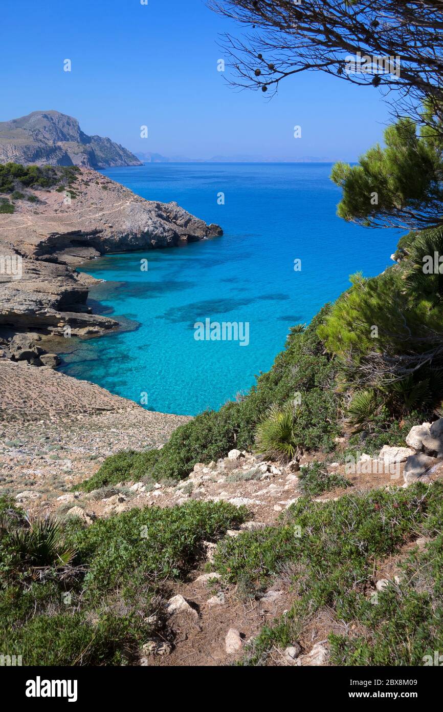 Isolated cove.Llevant Natural Park.Mallorca Islan.Spain Stock Photo