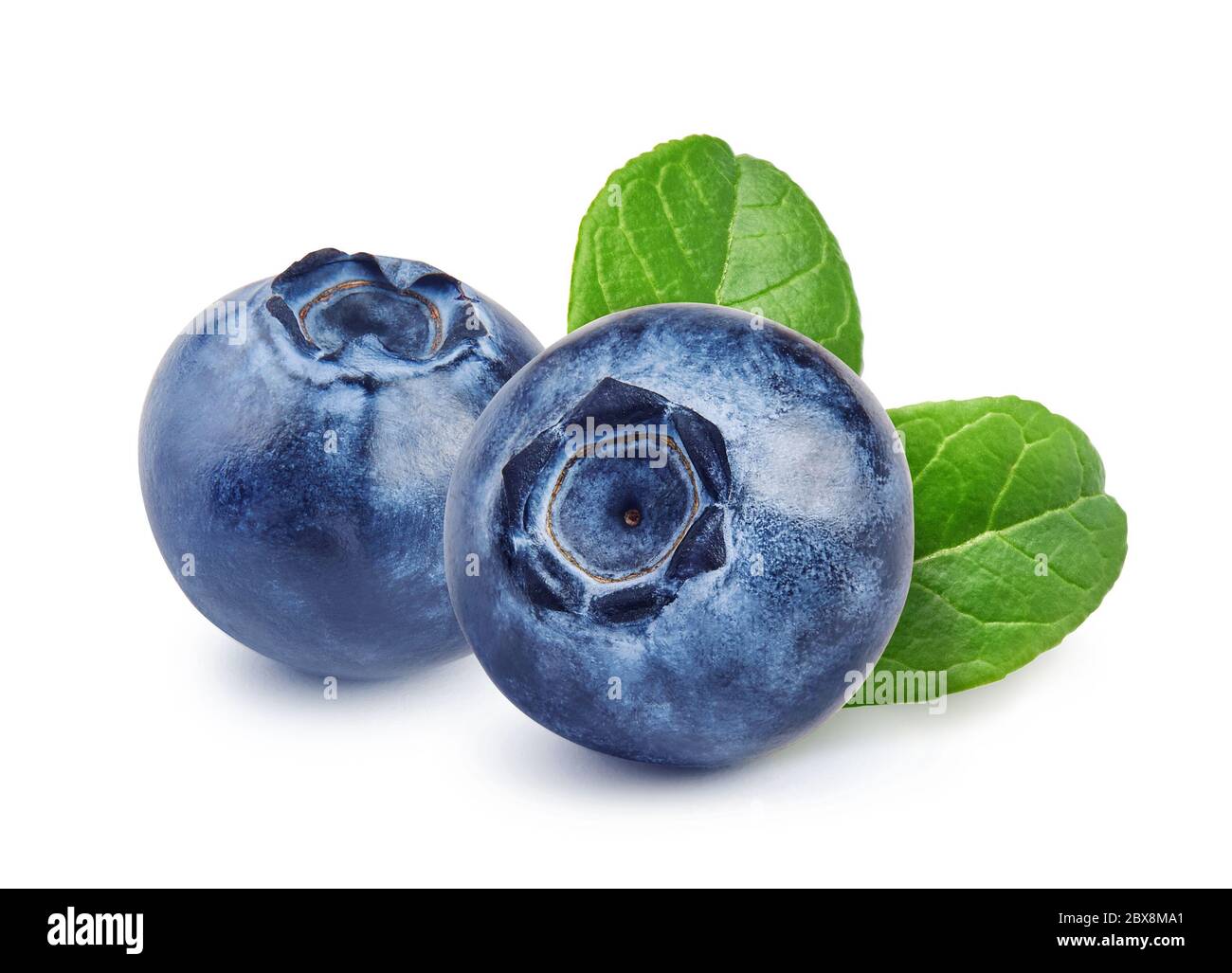 Two blueberries with blueberry leaves isolated on white. Macro shutting of blueberry. Stock Photo