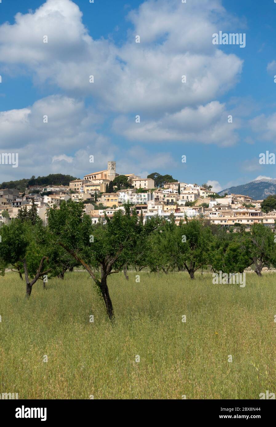 Selva village.Mallorca island.Spain Stock Photo