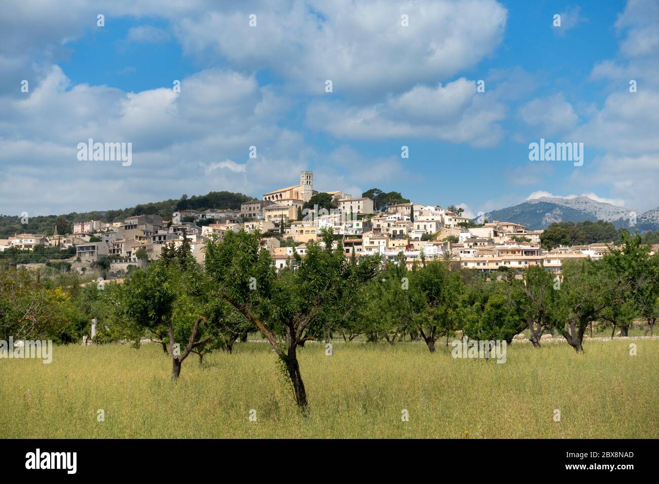 Selva village.Mallorca island.Spain Stock Photo