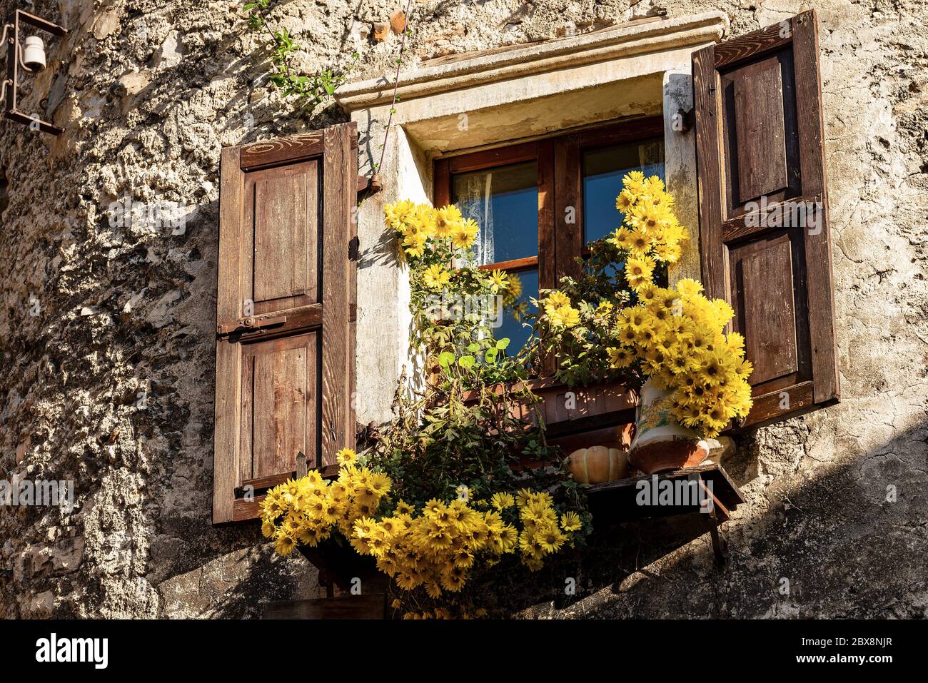 Close-up of an old window with wooden shutters and yellow flowers in ...