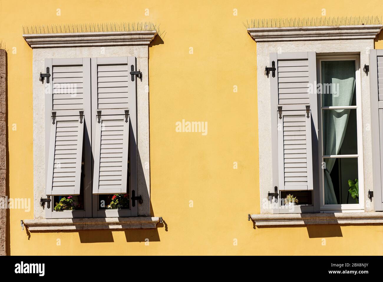 Two windows with grey wooden shutters with spike steel sticks to prevent birds from stopping, especially pigeons, residential building in Italy. Stock Photo