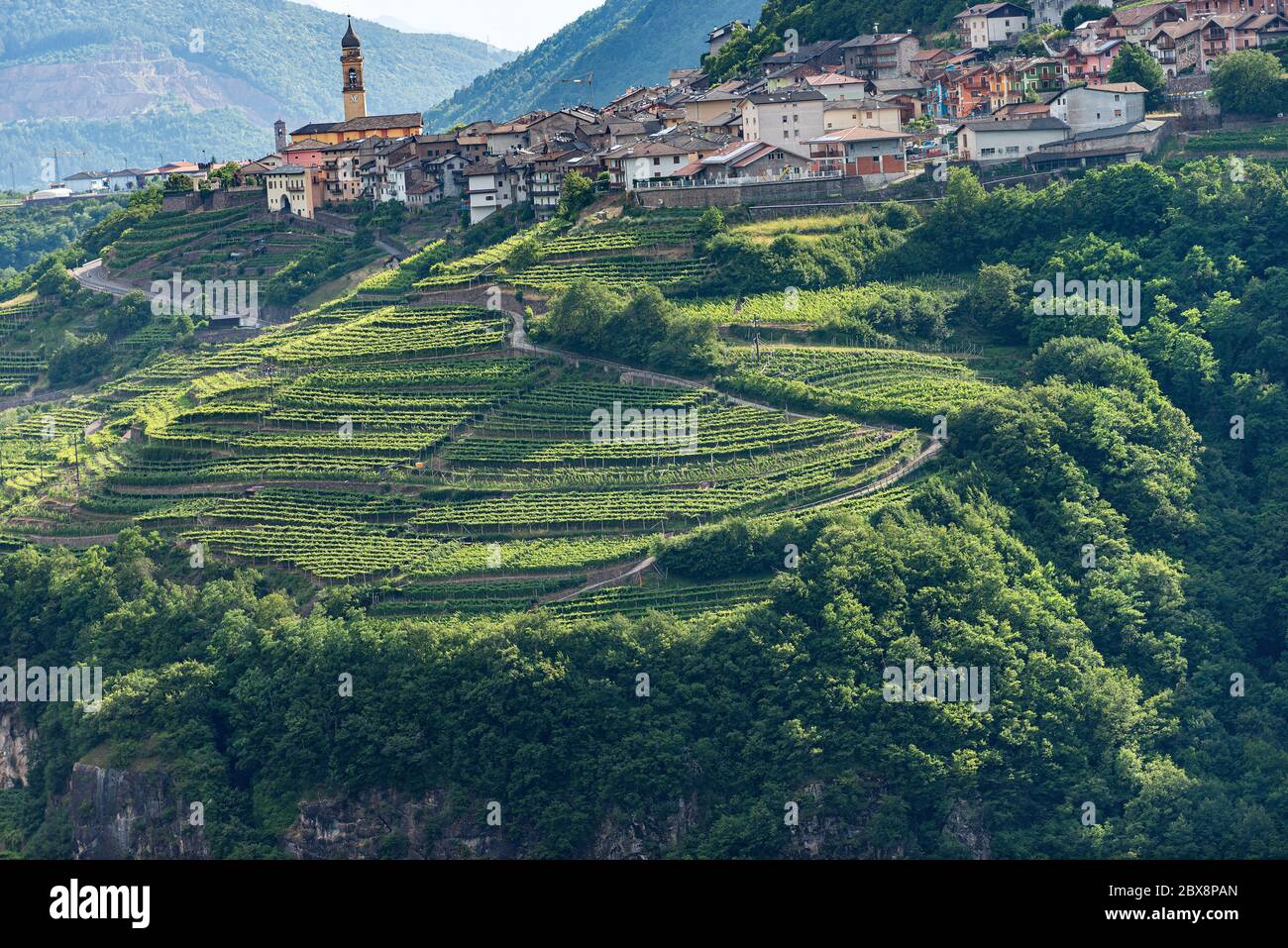 Small village of Faver, famous for wine production. Italian Alps, Cembra valley, Trento Province, Trentino Alto Adige, Italy, Europe Stock Photo