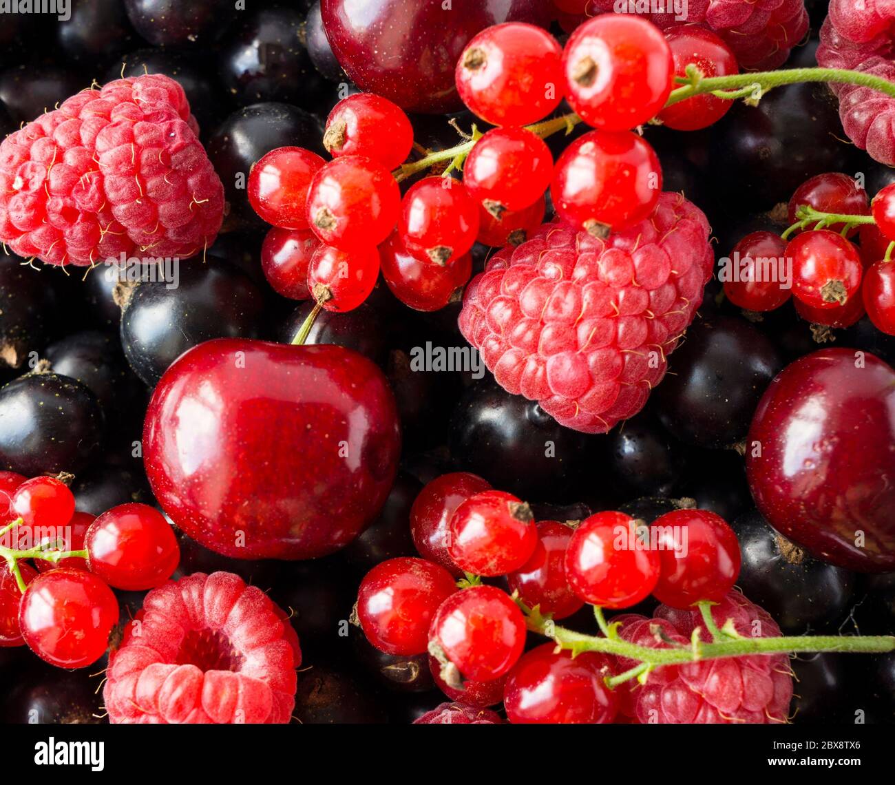 Ripe blackcurrants, cherries, red currants, raspberries. Mix berries ...