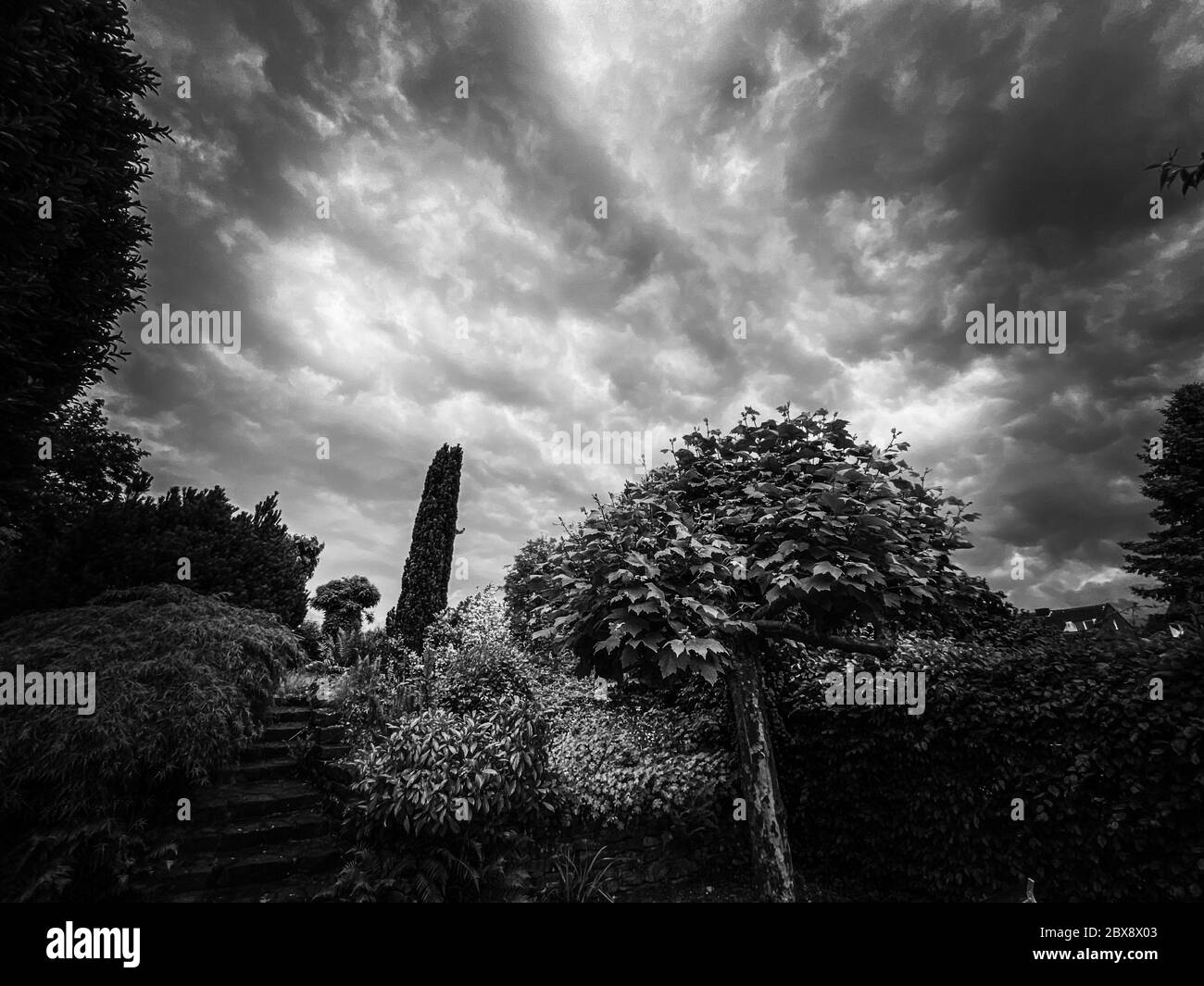 View on german garden during thunder storm with dramatic clouds and sky - Germany Stock Photo