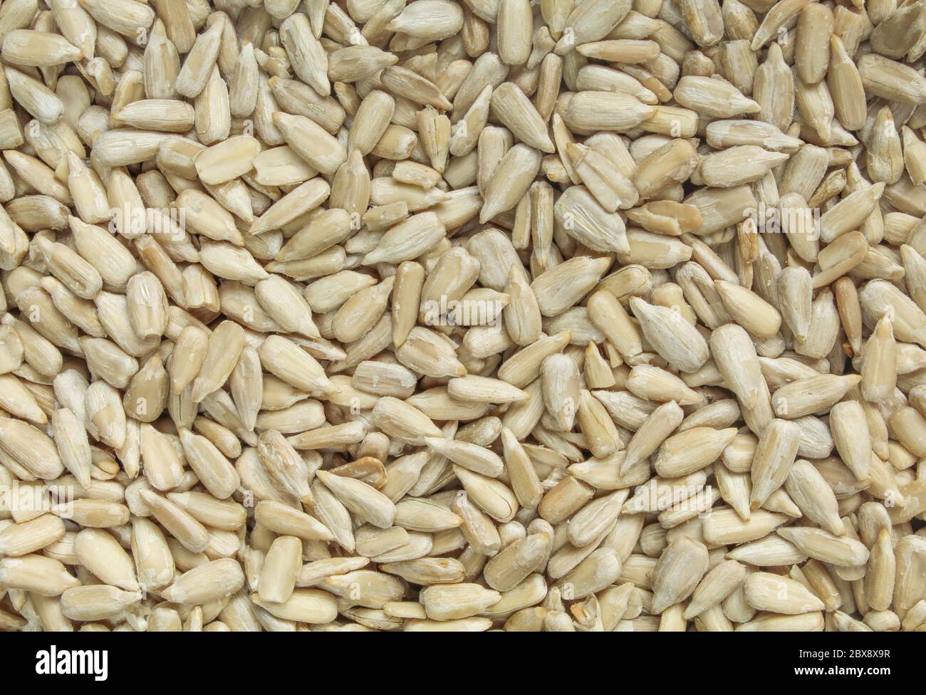 Full frame of sunflower seeds out of shell. Background/texture Stock