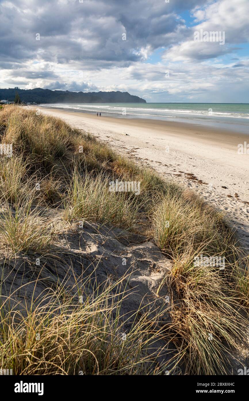 Waihi Beach, Bay of Plenty, North Island, New Zealand Stock Photo