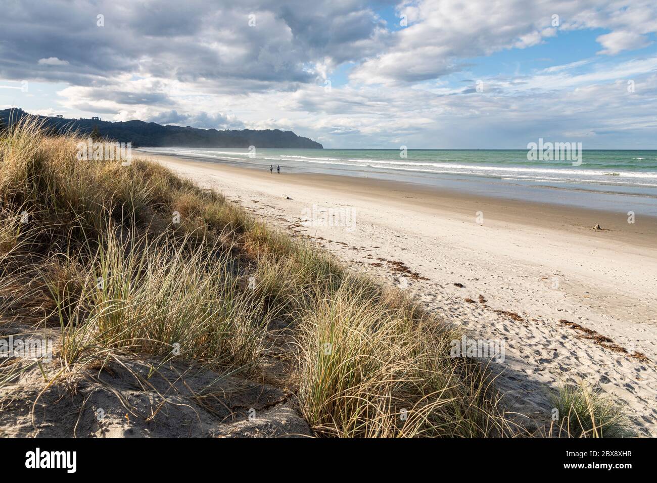 Waihi Beach, Bay of Plenty, North Island, New Zealand Stock Photo