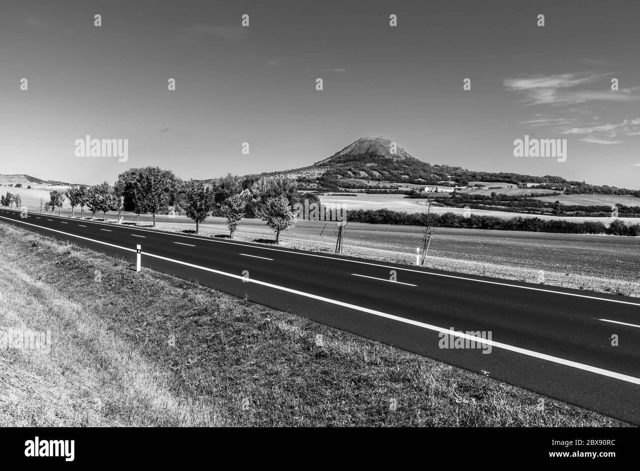 Asphalt road in barren landscape with trees on sunny autumn day. Black and white image. Stock Photo